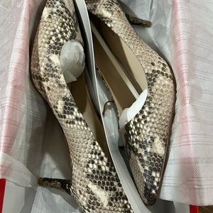 Grand Classic snake print coach shoe
